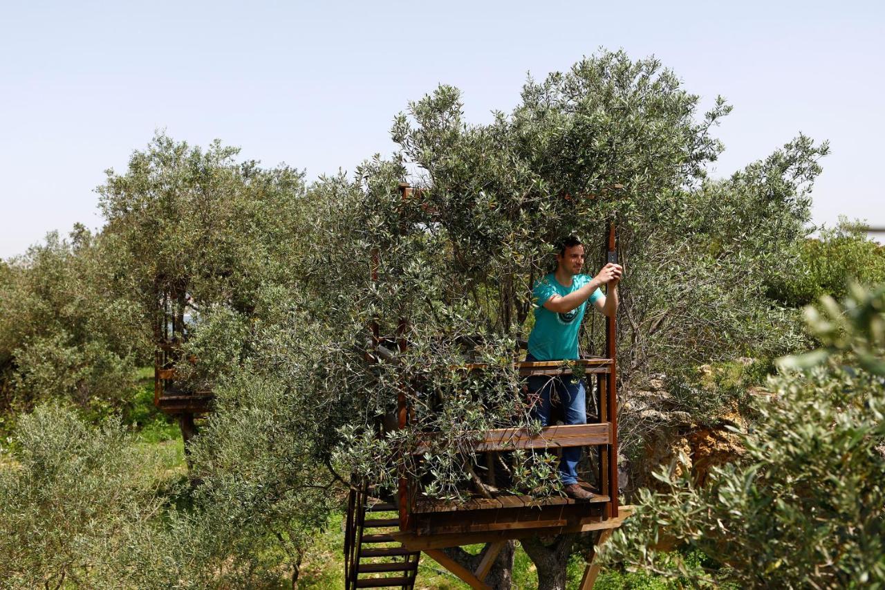 Bed and Breakfast Ola Belem! Cozy Windmill, Stunning Views To Lisboa Капарика Экстерьер фото