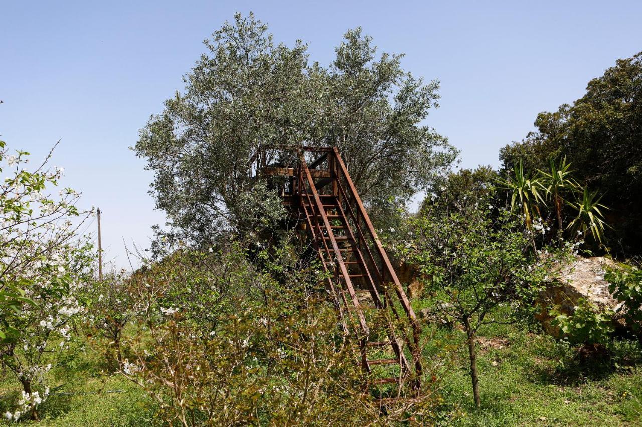 Bed and Breakfast Ola Belem! Cozy Windmill, Stunning Views To Lisboa Капарика Экстерьер фото