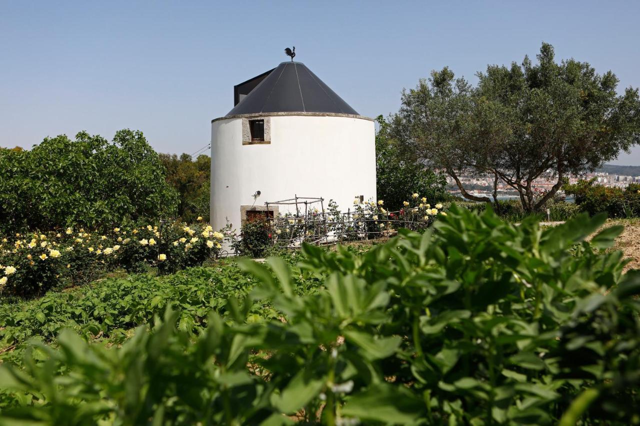 Bed and Breakfast Ola Belem! Cozy Windmill, Stunning Views To Lisboa Капарика Экстерьер фото